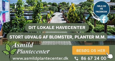 Planteskole / blomsterhandler i Hirtshals – Se top 10 Planteskoler ...